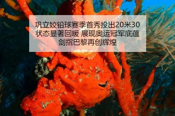巩立姣铅球赛季首秀投出20米30 状态显著回暖 展现奥运冠军底蕴 剑指巴黎再创辉煌