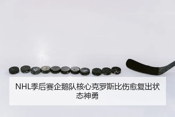 NHL季后赛企鹅队核心克罗斯比伤愈复出状态神勇