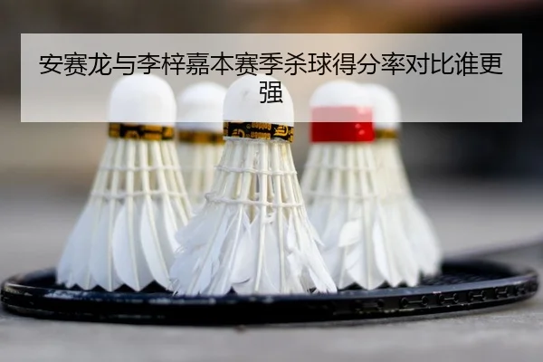 安赛龙与李梓嘉本赛季杀球得分率对比谁更强