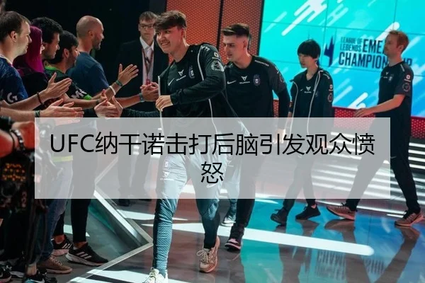 UFC纳干诺击打后脑引发观众愤怒
